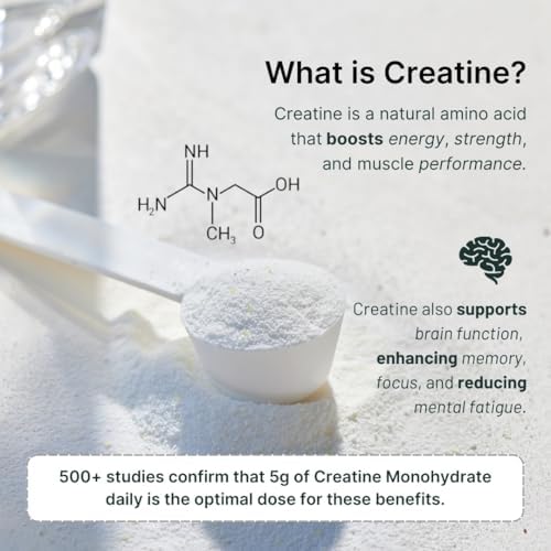 Travel Vegan Protein Powder Packets – Single-Serve Plant-Based Protein + Creatine – 20g Protein + 5g Creatine – All-Natural, Gluten-Free, No Artificial – Chocolate – (15-Pack) - Image 8