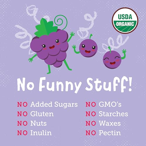 YOU LOVE FRUIT - GRAPE All Natural Fruit Snacks, Healthy Snack Pack, Real Fruit! Gluten Free, Non GMO, Vegan, Fiber packed, Low Fat, Kosher, Variety Pack, Great For Adding To Gift Box, 1.0 oz (Pack of 12) - Image 4