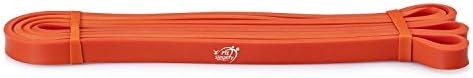 Fit Simplify Pull Up Assist Resistance Bands for Fitness, Physical Therapy, Stretching, Mobility and Exercise - Image 2