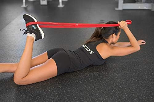 Fit Simplify Pull Up Assist Resistance Bands for Fitness, Physical Therapy, Stretching, Mobility and Exercise - Image 7