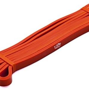 Fit Simplify Pull Up Assist Resistance Bands for Fitness, Physical Therapy, Stretching, Mobility and Exercise