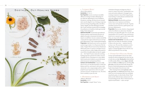 Body into Balance: An Herbal Guide to Holistic Self-Care - Image 5