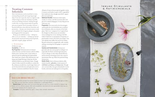 Body into Balance: An Herbal Guide to Holistic Self-Care - Image 6
