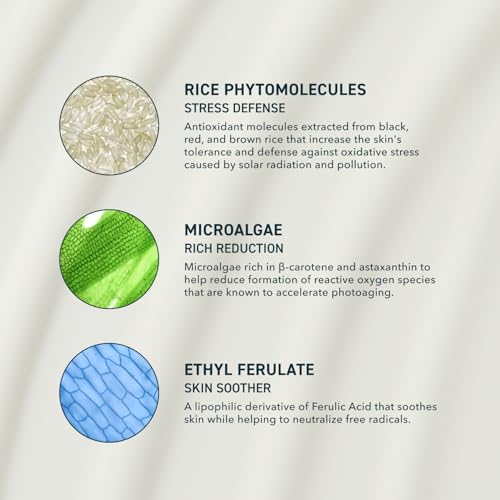 Skin Solar Shade - Moisturizing Face Sunscreen SPF 46 PA++++ Broad Spectrum UV Protection. Hydrating Sunblock for Dry Skin. Lightweight Travel Size Sun Protection, 1.7oz - Image 3