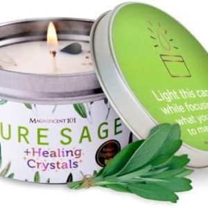 Magnificent 101 Long-Lasting Pure Sage Healing Crystals Candle | 6 Oz - 35-Hour Burn | All Natural Soy Wax, Rose Quartz, Amethyst, Moonstone & Black Tourmaline | House Energy Cleansing & Manifestation