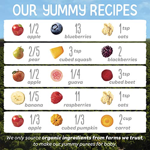 Happy Baby Organics Stage 2 Baby Food Pouches, Gluten Free, Vegan & Healthy Snack, Clearly Crafted Fruit & Veggie Puree, Fruit & Veggie Variety Pack, 4 Ounces (Pack of 10), Amazon Exclusive - Image 3