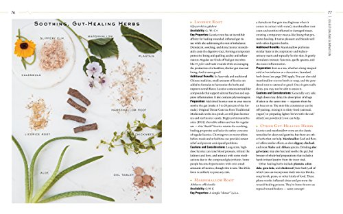 Body into Balance: An Herbal Guide to Holistic Self-Care - Image 12