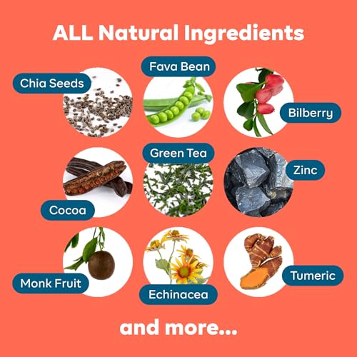 Vanilla Spice Superfood Nutrition Shake - 7 Single-Serve On The Go Travel Packs - 15g Vegan Protein, 5g Fiber, Zero Sugar - Complete Nutrition Blend - Image 6