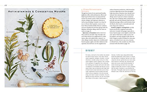 Body into Balance: An Herbal Guide to Holistic Self-Care - Image 14