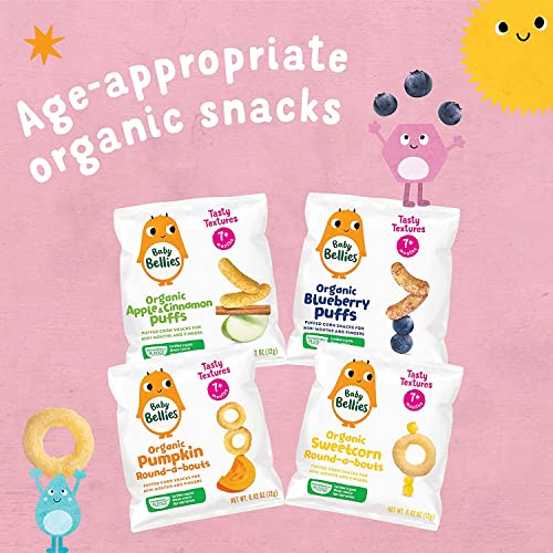 Little Bellies Organic Strawberry Pick-Me Sticks Baby Snack (Pack of 5 x 0.56 oz Individual Packs) - Image 4