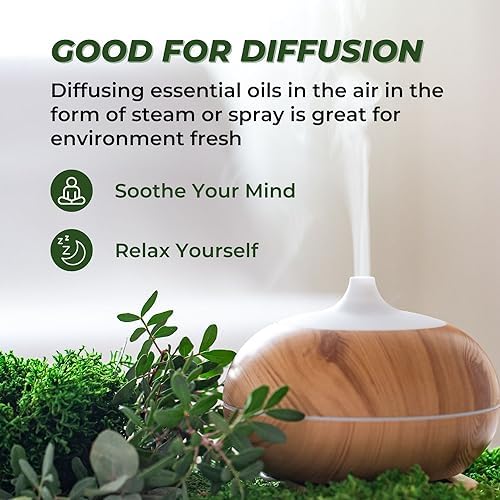 Essential Oils Set (Eucalyptus, Lavender, Lemongrass, Peppermint, Tea Tree, Orange) for Diffuser, Topical Skin, Body, Natural Home Fragrance Gift for Women & Men - Image 3