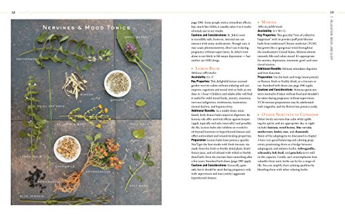 Body into Balance: An Herbal Guide to Holistic Self-Care - Image 11